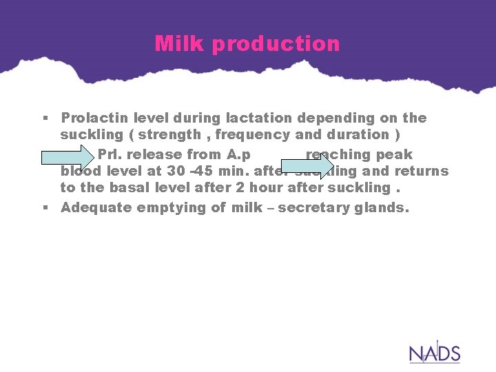 Milk production § Prolactin level during lactation depending on the suckling ( strength , Milk production § Prolactin level during lactation depending on the suckling ( strength ,