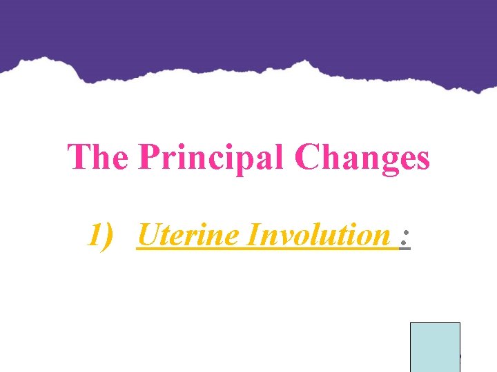 The Principal Changes 1) Uterine Involution : The Principal Changes 1) Uterine Involution :