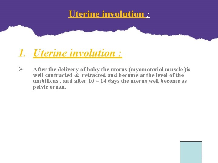 Uterine involution : 1. Uterine involution : Ø After the delivery of baby the Uterine involution : 1. Uterine involution : Ø After the delivery of baby the
