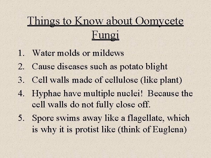 Things to Know about Oomycete Fungi 1. 2. 3. 4. Water molds or mildews