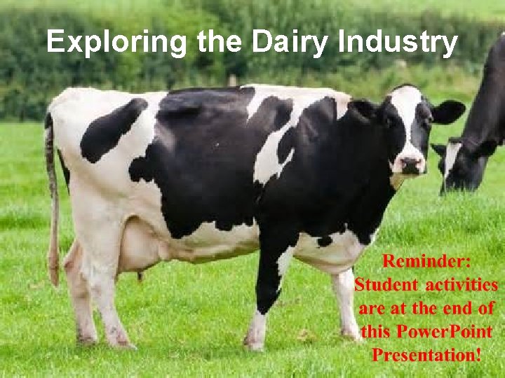 Exploring the Dairy Industry Lesson 2 