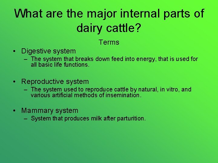 What are the major internal parts of dairy cattle? Terms • Digestive system –