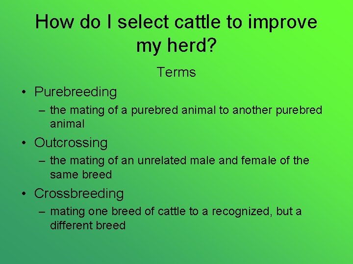 How do I select cattle to improve my herd? Terms • Purebreeding – the