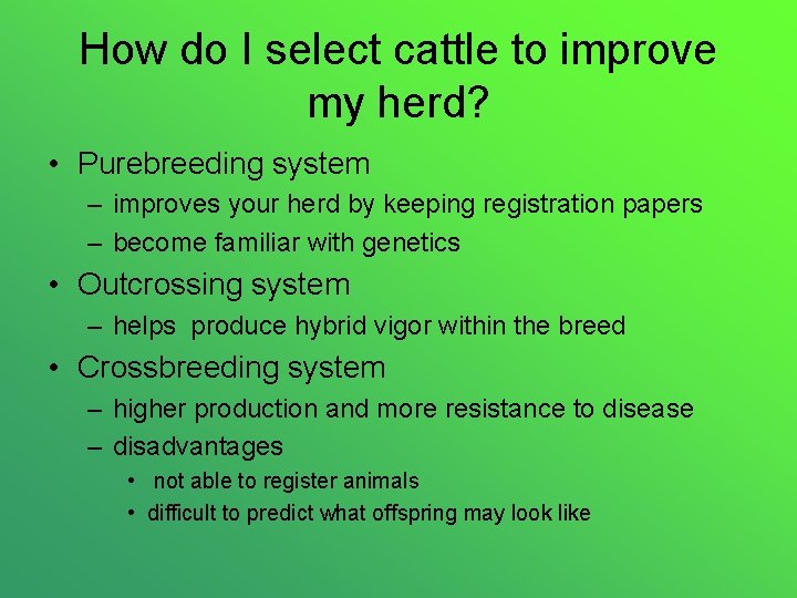 How do I select cattle to improve my herd? • Purebreeding system – improves