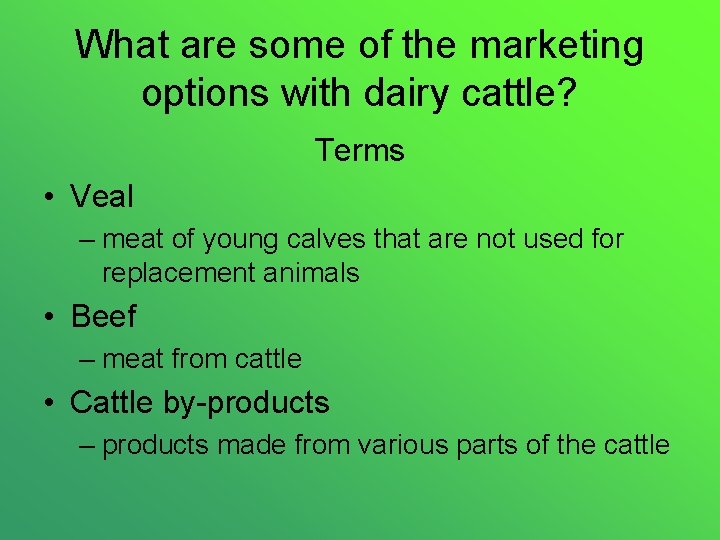 What are some of the marketing options with dairy cattle? Terms • Veal –