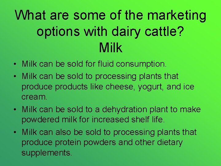 What are some of the marketing options with dairy cattle? Milk • Milk can