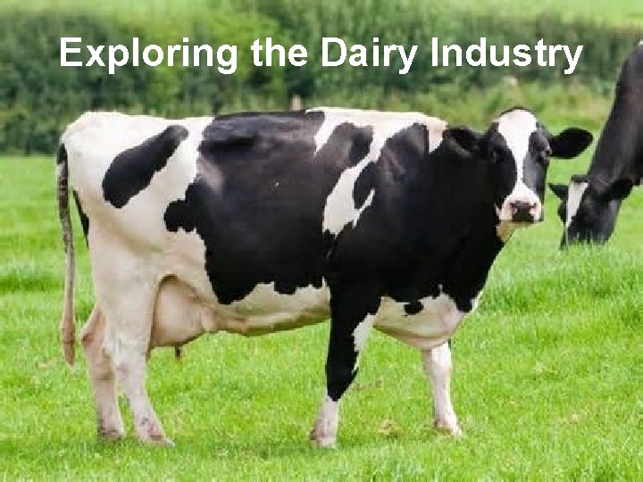 Exploring the Dairy Industry Lesson 2 