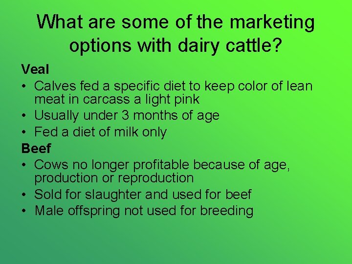 What are some of the marketing options with dairy cattle? Veal • Calves fed