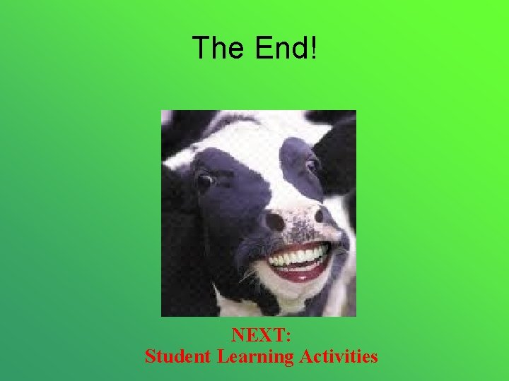 The End! NEXT: Student Learning Activities 