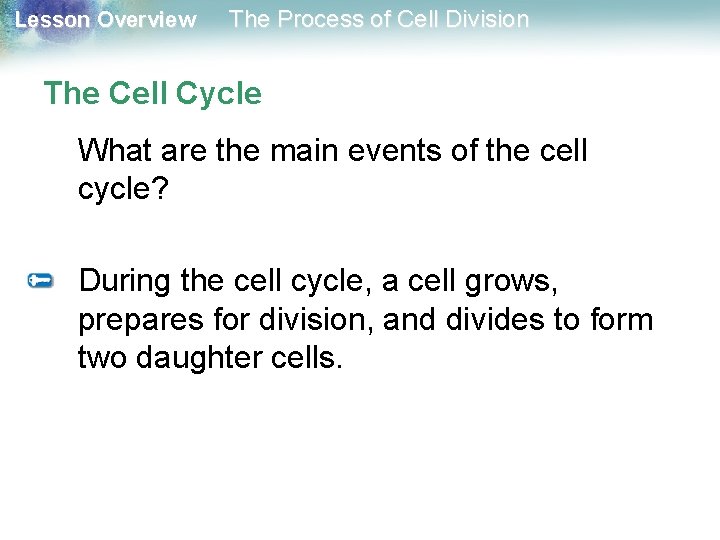 Lesson Overview The Process of Cell Division The Cell Cycle What are the main