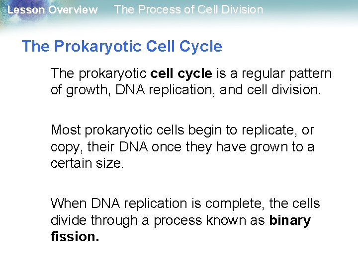 Lesson Overview The Process of Cell Division The Prokaryotic Cell Cycle The prokaryotic cell