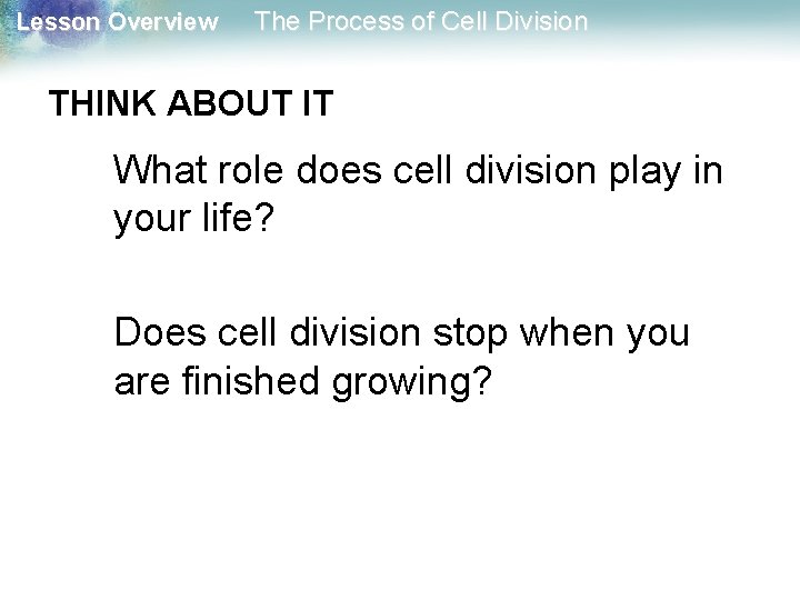 Lesson Overview The Process of Cell Division THINK ABOUT IT What role does cell