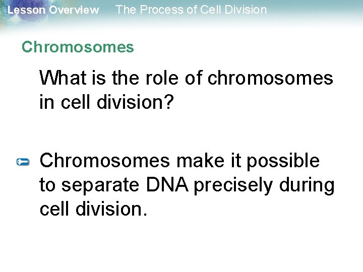 Lesson Overview The Process of Cell Division Chromosomes What is the role of chromosomes