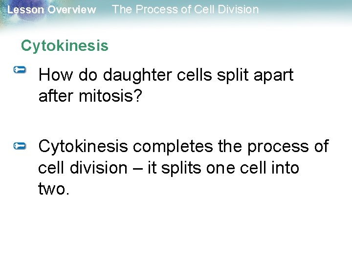 Lesson Overview The Process of Cell Division Cytokinesis How do daughter cells split apart