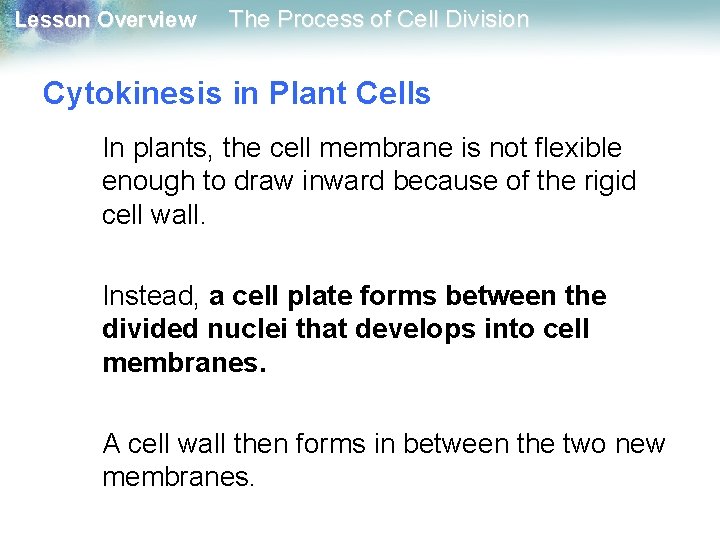 Lesson Overview The Process of Cell Division Cytokinesis in Plant Cells In plants, the