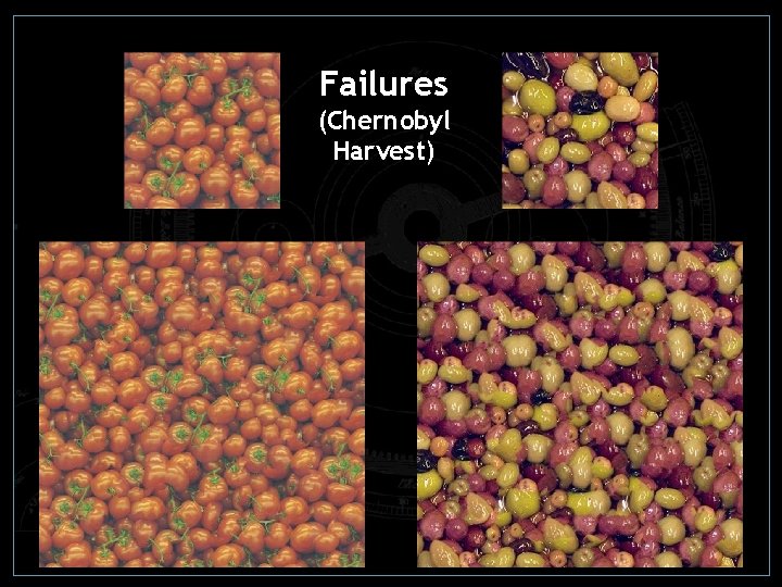 Failures (Chernobyl Harvest) Failures (Chernobyl Harvest)