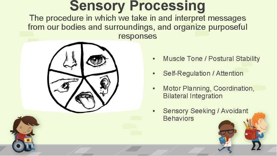 Sensory Processing The procedure in which we take in and interpret messages from our
