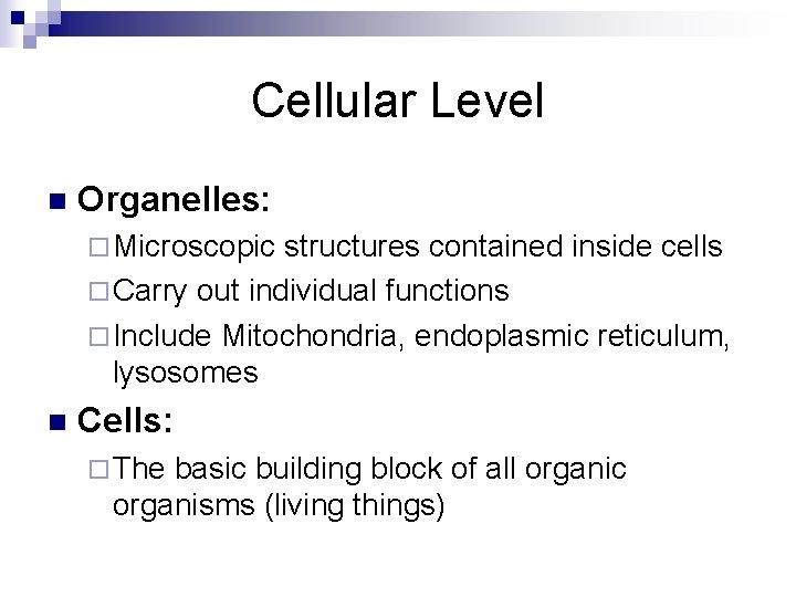 Cellular Level n Organelles: ¨ Microscopic structures contained inside cells ¨ Carry out individual
