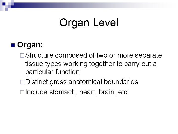 Organ Level n Organ: ¨ Structure composed of two or more separate tissue types