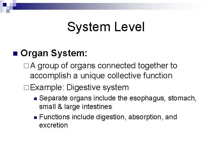 System Level n Organ System: ¨A group of organs connected together to accomplish a