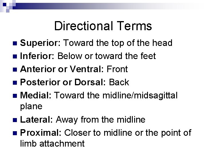 Directional Terms Superior: Toward the top of the head n Inferior: Below or toward