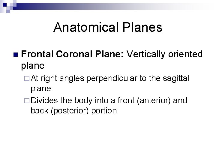 Anatomical Planes n Frontal Coronal Plane: Vertically oriented plane ¨ At right angles perpendicular