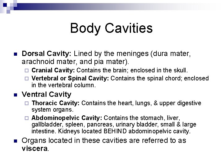 Body Cavities n Dorsal Cavity: Lined by the meninges (dura mater, arachnoid mater, and