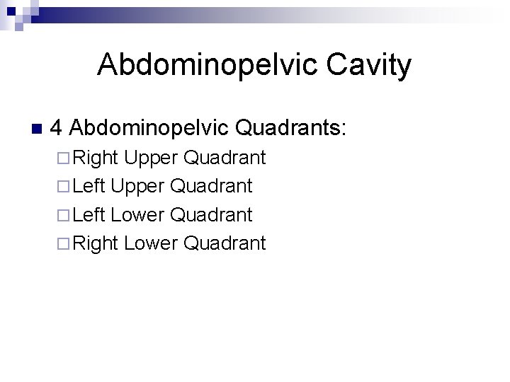 Abdominopelvic Cavity n 4 Abdominopelvic Quadrants: ¨ Right Upper Quadrant ¨ Left Lower Quadrant