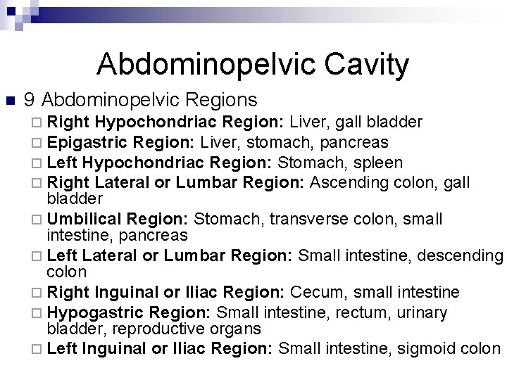 Abdominopelvic Cavity n 9 Abdominopelvic Regions ¨ Right Hypochondriac Region: Liver, gall bladder ¨