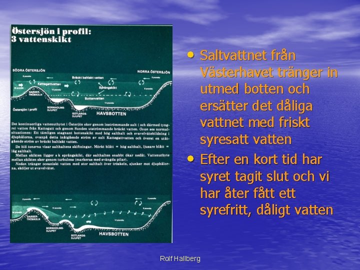  • Saltvattnet från • Västerhavet tränger in utmed botten och ersätter det dåliga