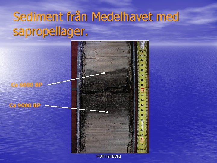 Sediment från Medelhavet med sapropellager. Ca 6000 BP Ca 9000 BP Rolf Hallberg 