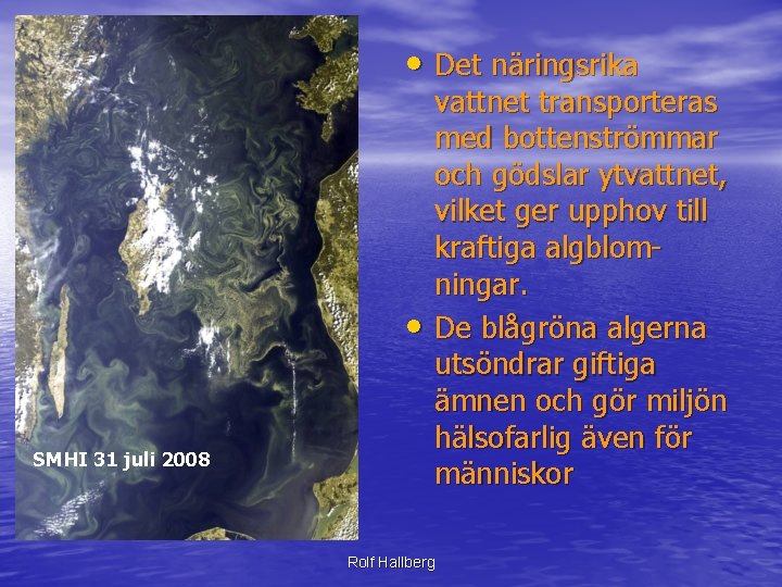  • Det näringsrika • SMHI 31 juli 2008 vattnet transporteras med bottenströmmar och