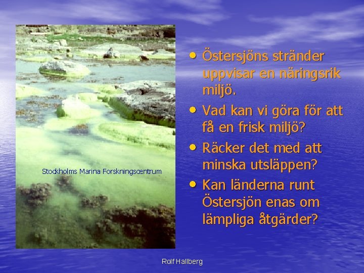  • Östersjöns stränder • • Stockholms Marina Forskningscentrum • uppvisar en näringsrik miljö.