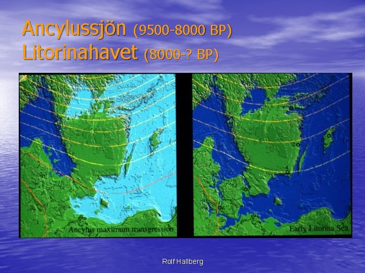 Ancylussjön (9500 -8000 BP) Litorinahavet (8000 -? BP) Rolf Hallberg 