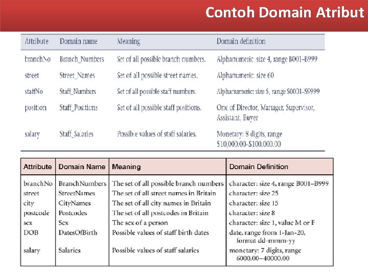 Contoh Domain Atribut 