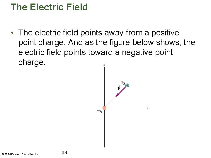 The Electric Field • The electric field points away from a positive point charge.