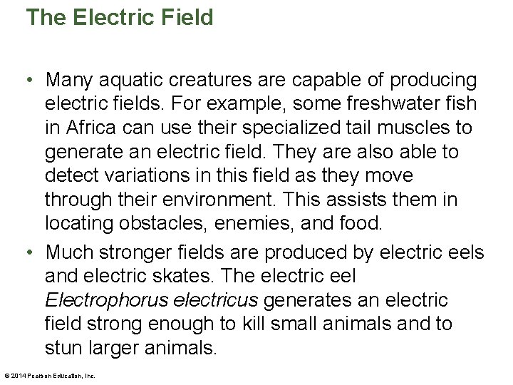 The Electric Field • Many aquatic creatures are capable of producing electric fields. For