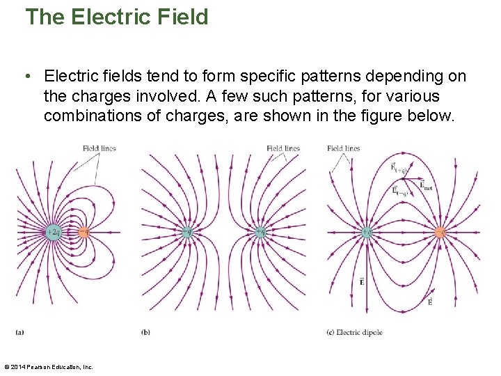 The Electric Field • Electric fields tend to form specific patterns depending on the