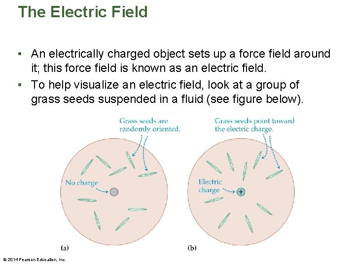 The Electric Field • An electrically charged object sets up a force field around