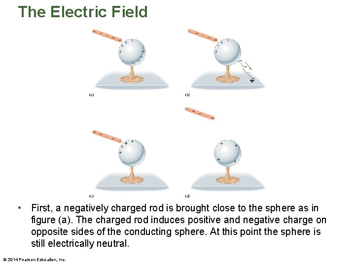 The Electric Field • First, a negatively charged rod is brought close to the