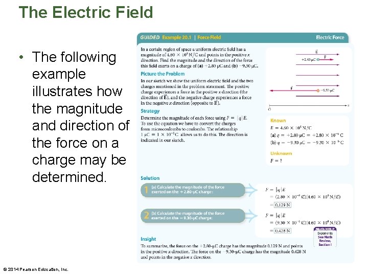 The Electric Field • The following example illustrates how the magnitude and direction of