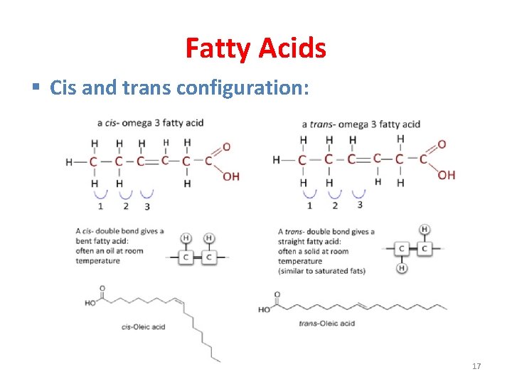 Fatty Acids § Cis and trans configuration: 17 
