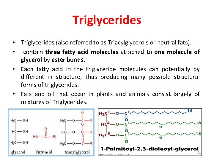 Triglycerides • Triglycerides (also referred to as Triacylglycerols or neutral fats). • contain three