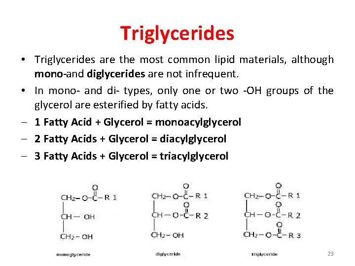 Triglycerides • Triglycerides are the most common lipid materials, although mono and diglycerides are