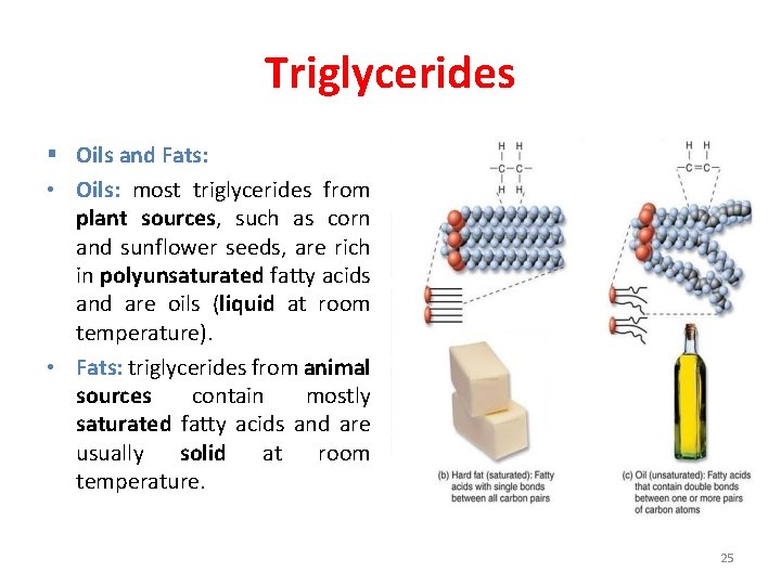 Triglycerides § Oils and Fats: • Oils: most triglycerides from plant sources, such as