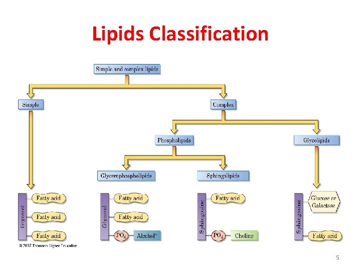 Lipids Classification 5 