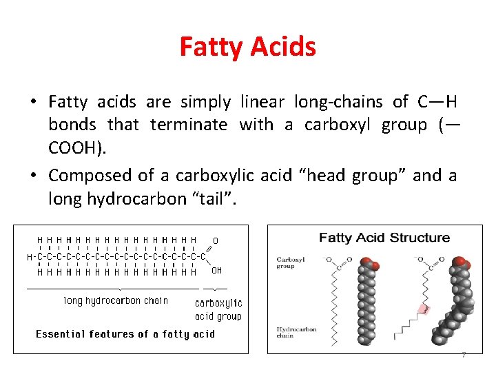Fatty Acids • Fatty acids are simply linear long-chains of C—H bonds that terminate