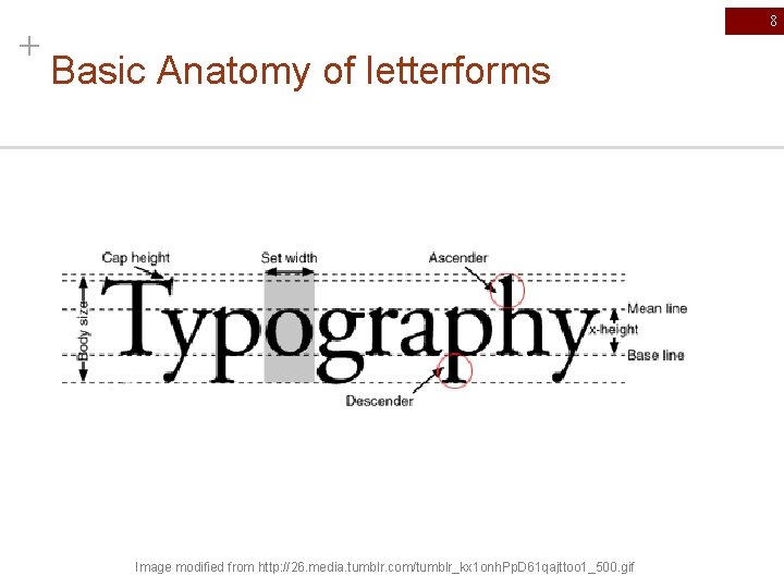 + 8 Basic Anatomy of letterforms Image modified from http: //26. media. tumblr. com/tumblr_kx