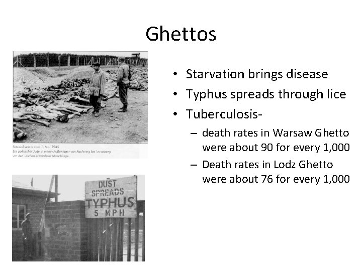 Ghettos • Starvation brings disease • Typhus spreads through lice • Tuberculosis– death rates