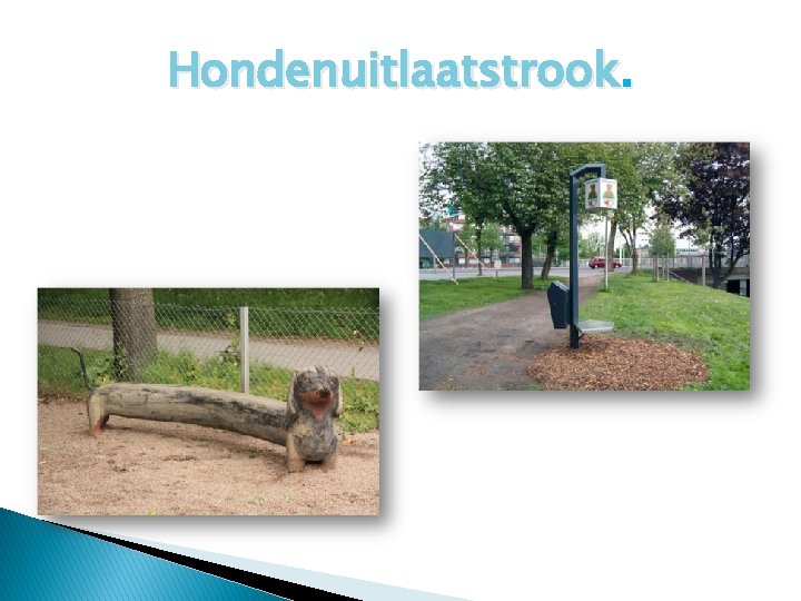 Hondenuitlaatstrook. 